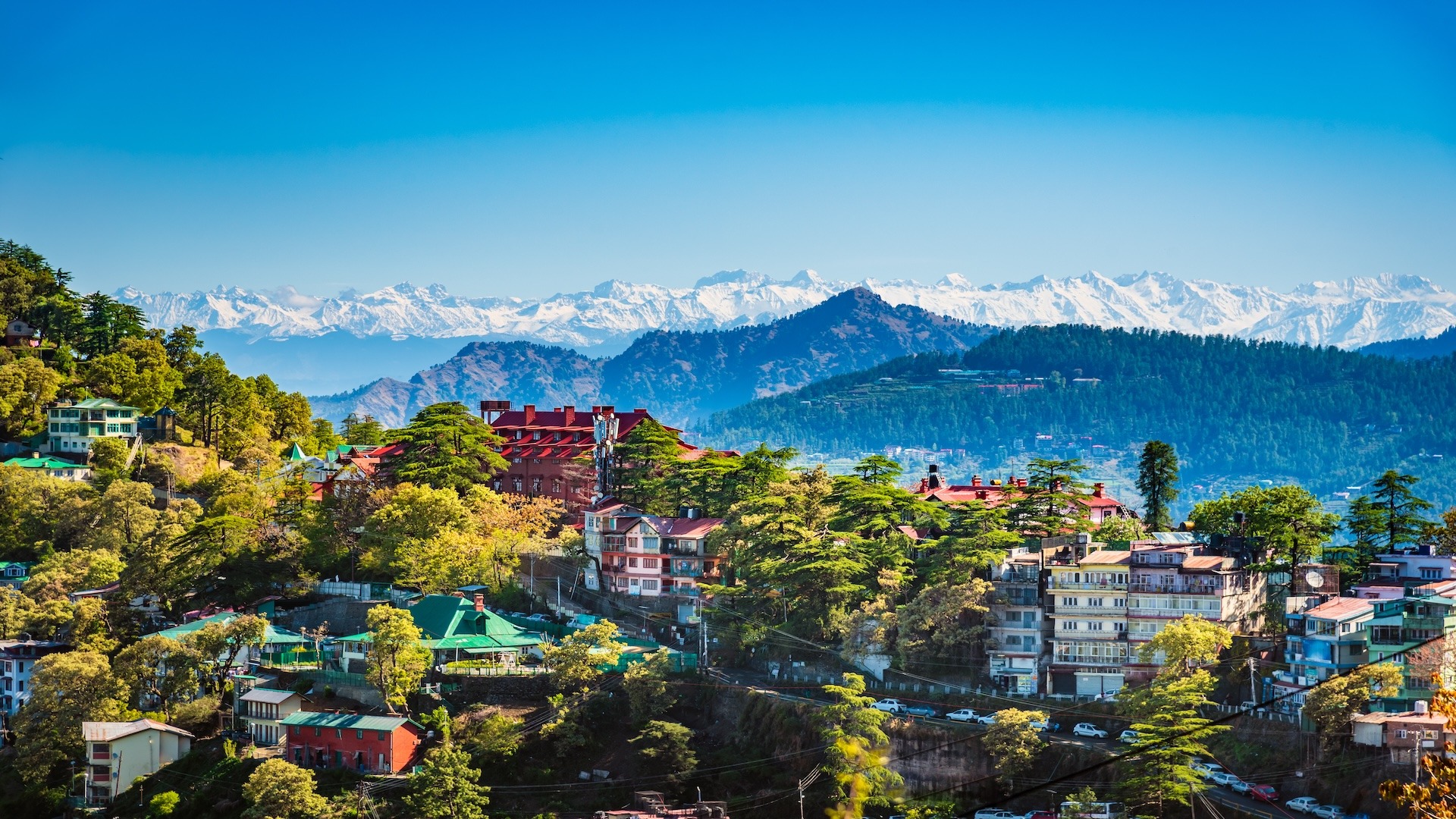 Honeymoon in Shimla and Manali